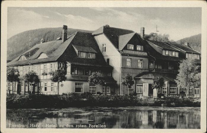 Ilsenburg Harz Hotel zu den roten Forellen Teich