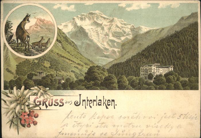 Interlaken BE Panorama Steinbock