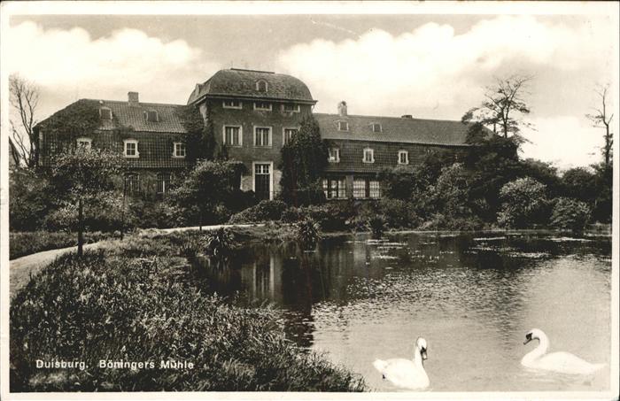 Duisburg Ruhr Böhningers Mühle Schwäne