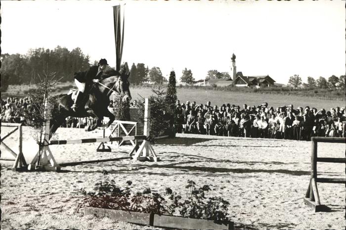 Reitsport Pferdesport Pferderennen Ising