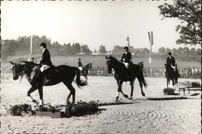 Reitsport Pferdesport Pferderennen Ising