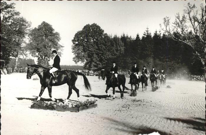 Reitsport Pferdesport Pferderennen Ising