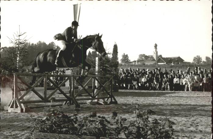 Reitsport Pferdesport Pferderennen Ising