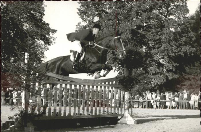 Reitsport Pferdesport Pferderennen Ising