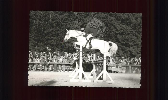 Reitsport Pferdesport Pferderennen Ising