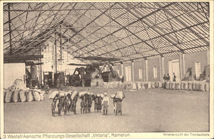 Pflanzen Westafrika Pflanzungs-Gesellschaft Vikt