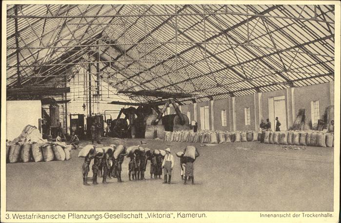 Landwirtschaft Kamerun Viktoria Wandsbeck