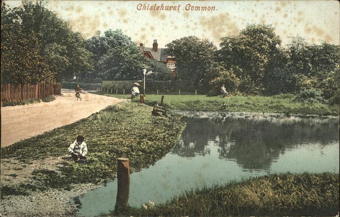 Chislehurst Common