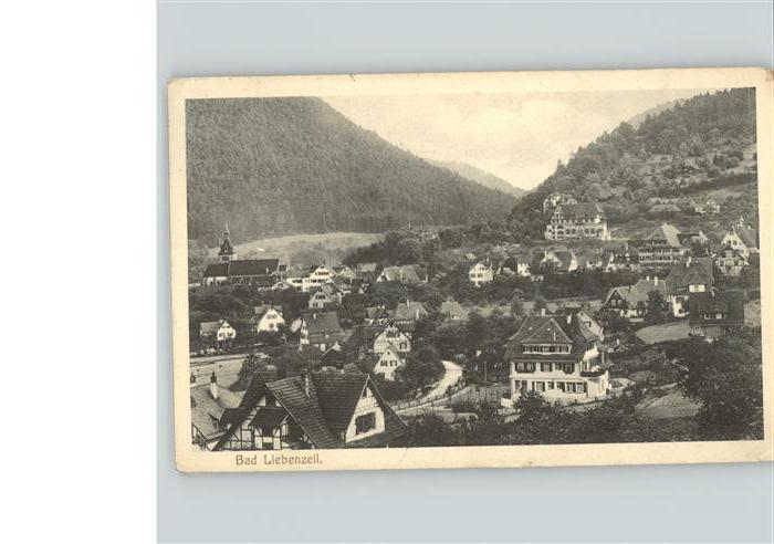 Bad Liebenzell Panorama