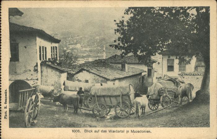 Mazedonien Blick auf das Wardartal Ochsenkarren