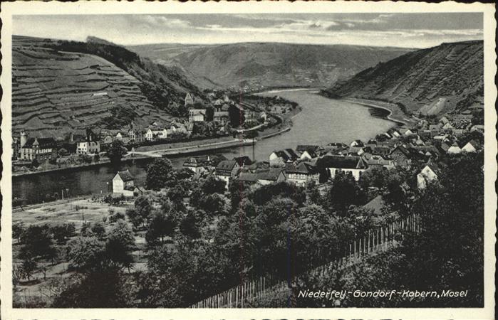 Niederfell Panorama Niederfell Gondorf Kobern an d