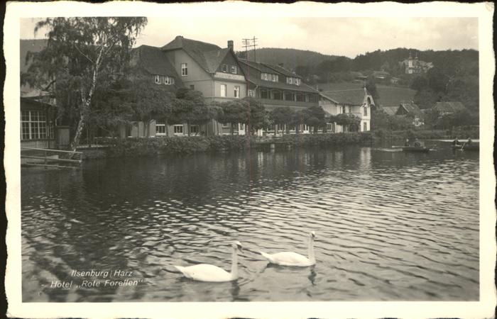 Ilsenburg Harz Hotel Rote Forellen Teich Schwäne
