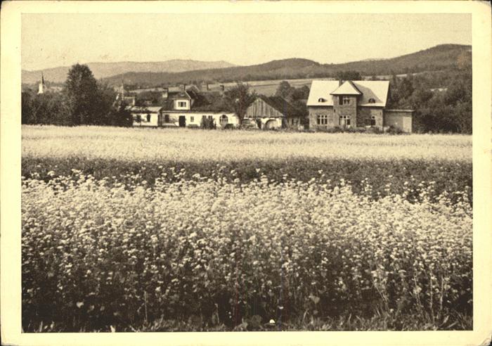 Kuncice Kuntschitz Partie am Ortsrand