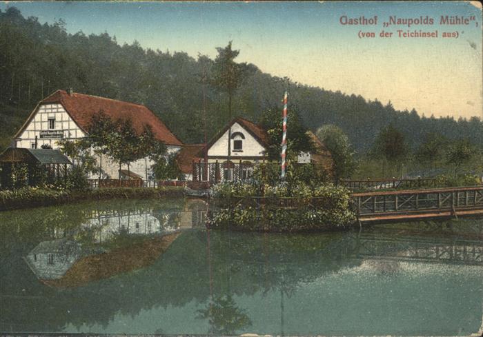 Eisenberg Thueringen Gasthof Naupolds Mühle Teich