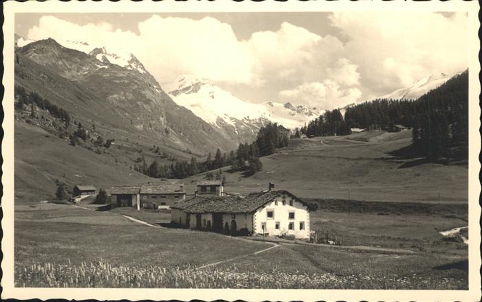Sils Engadin Graubuenden Platta im Fextal