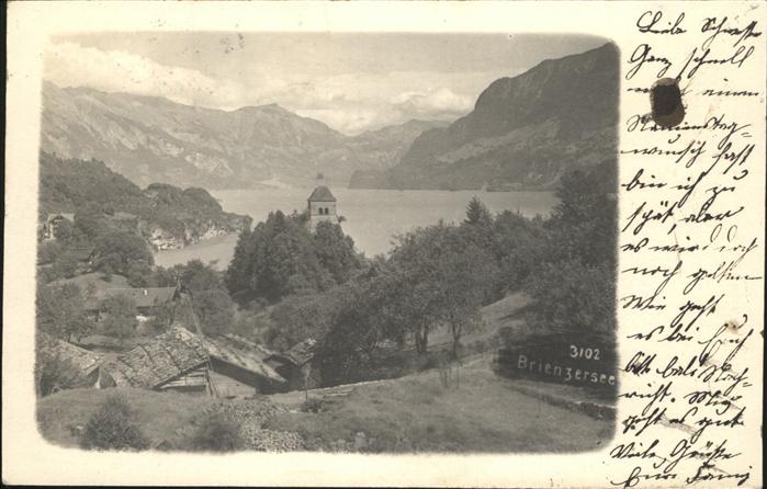 Brienzersee BE Panorama