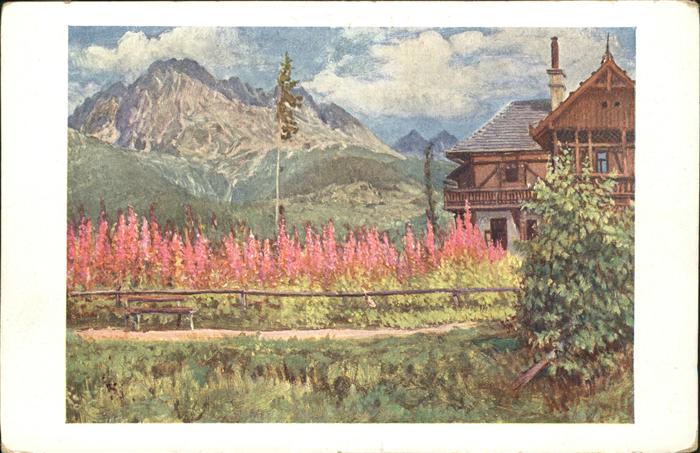 Tatranska Kvetena Schmalblättriger Schotenweiderich Serie