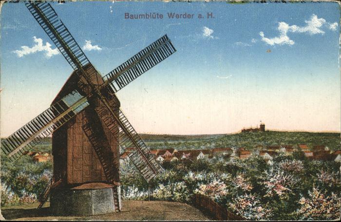 Werder Havel Baumblüte Windmühle