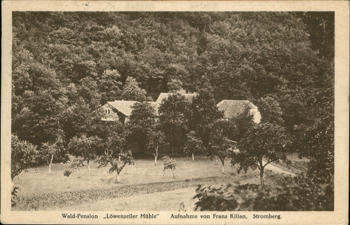 Stromberg Hunsrueck Waldpension Loewenzeller Muehle