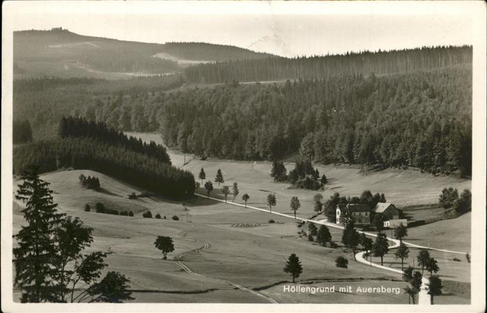 Auersberg Wildenthal Panorama im Höllengrund