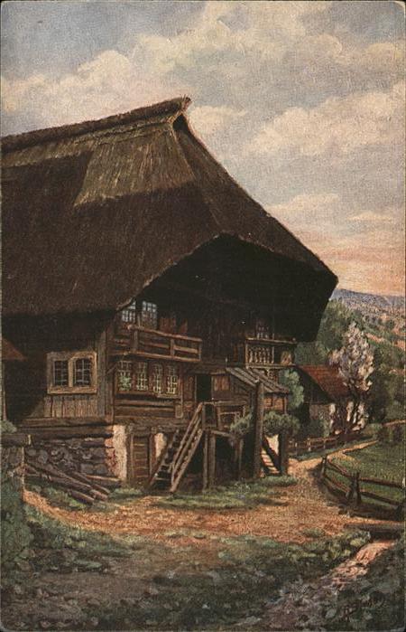 Simon A. Frühling im Schwarzwald Morgenstimmung