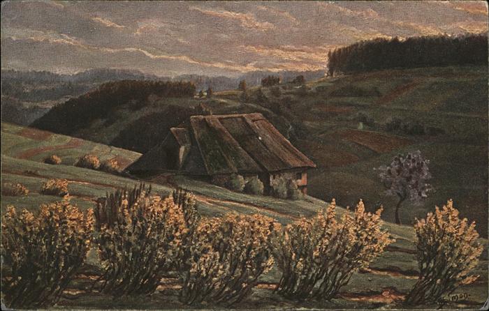 Simon A. Schwarzwald Sonnenaufgang