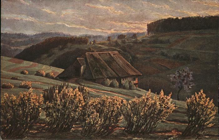 Simon A. Schwarzwald Sonnenaufgang