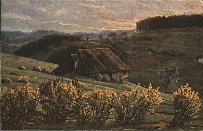 Simon A. Frühling im Schwarzwald Sonnenaufgang