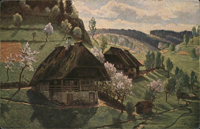 Simon A. Frühling im Schwarzwald Vormittag in Gu