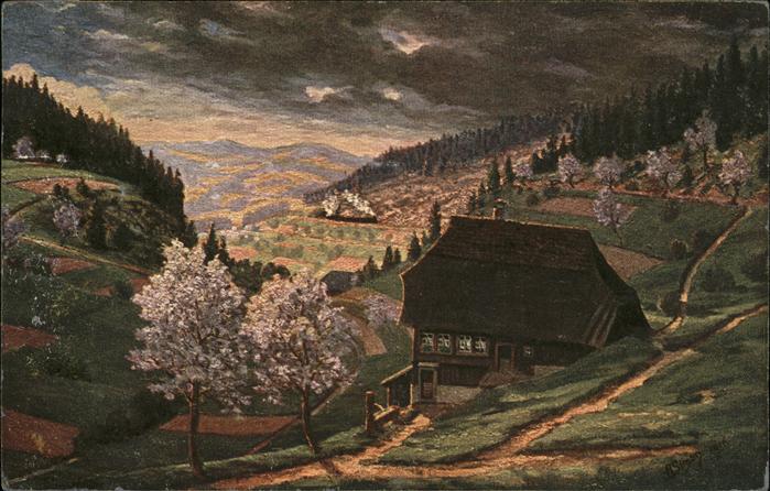 Simon A. Frühling im Schwarzwald Nußbachtal
