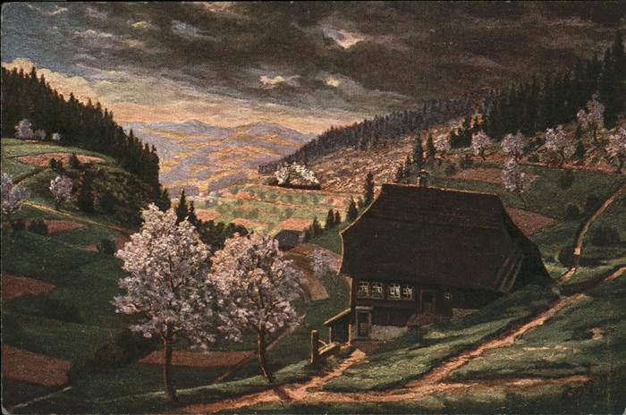 Simon A. Frühling im Schwarzwald Nußbachtal