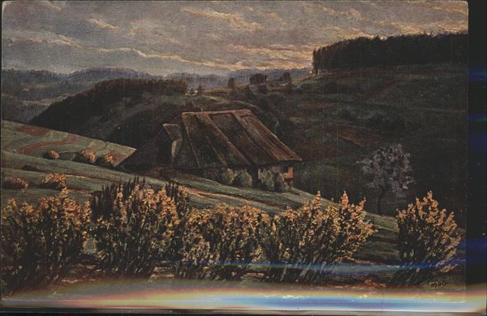 Simon A. Frühling im Schwarzwald Sonnenaufgang