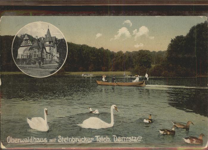 Darmstadt Oberwaldhaus Steinbrücker Teich