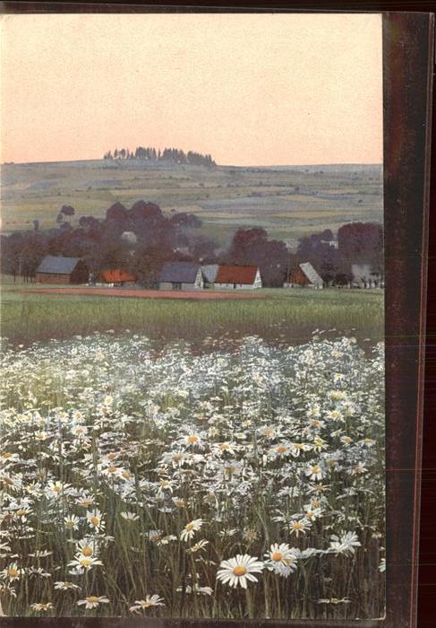 Mildenau Jaegerhof Sommerwiese