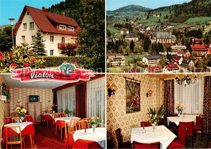 Todtmoos Schwarzwald BW Gaestehaus Vialon Garni Panorama Gastraeume