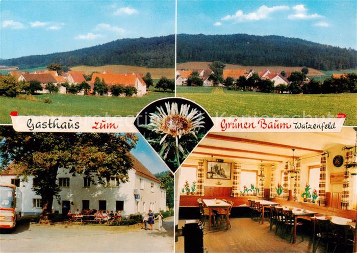 Waizenfeld Panorama Gasthaus zum Gruenen Baum Terrasse Gastraum