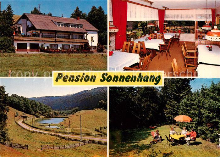 Deudesfeld Pension Sonnenhang Gastraum Panorama Garten