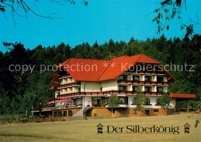 Bleibach Gutach Breisgau Hotel Restaurant Cafe Der Silberkoenig