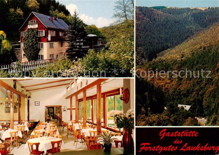 Lauksburg Wispertal Bad Schwalbach Gaststaette Forstgut Laugsburg Gastraum Panor