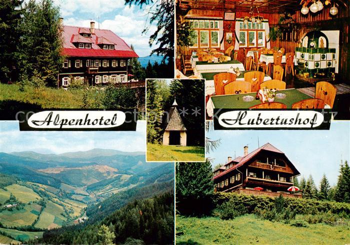 Wartberg Muerztal Alpenhotel Hubertushof Gaststube Panorama