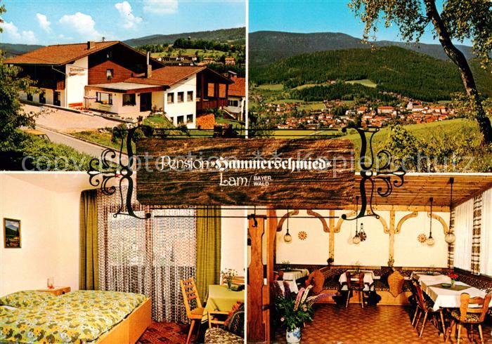 Lam Oberpfalz Pension Hammerschmied Panorama Gaestezimmer Gastraum