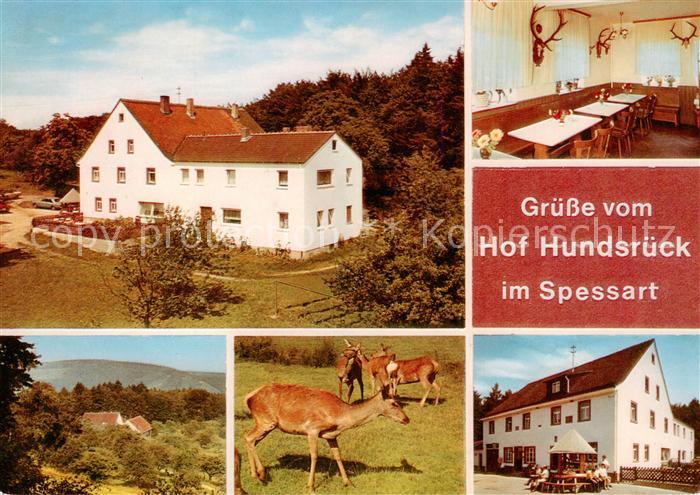 Eschau Unterfranken Gasthaus Pension Hundsrueck Gaststube Panorama Rotwild Brunn