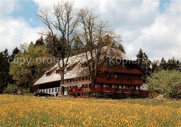 Gremmelsbach Triberg Hoehengasthaus Pension Zur Staude