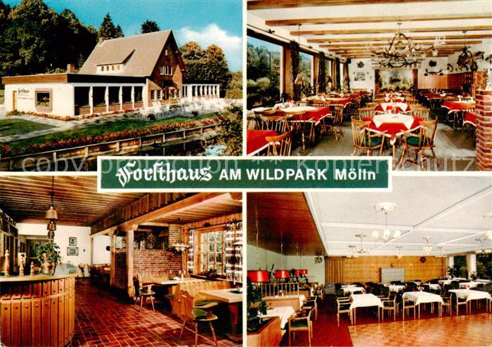 Moelln  Lauenburg Forsthaus Am Wildpark Gastraeume Theke S