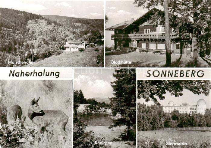 Sonneberg  Thueringen Malschenalm Blockhuette Koenigsee Sternwarte Rehe