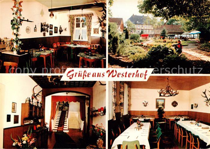 Westerhof Westharz Pension Forsthaus Gastraeume Park