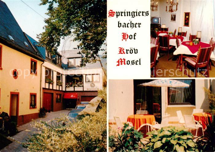 Kroev Croev Croev Mosel Springiersbacher Hof Terrasse TV Raum