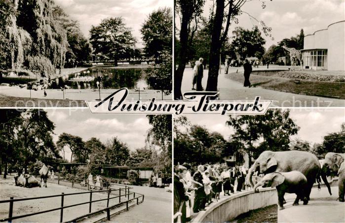 Duisburg  Ruhr Tierpark Details mit Elefanten
