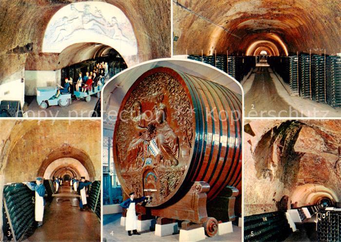 Epernay 51 Marne En Champagne Differents aspects de la sensationnelle visite des