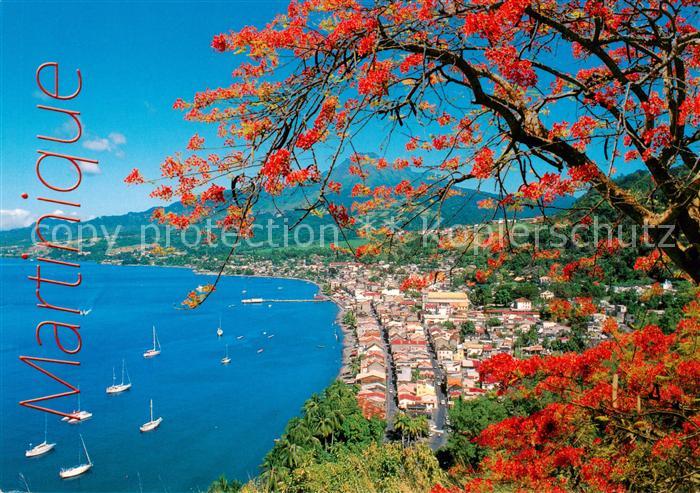 Saint Pierre Martinique Panorama et la montagne Pelée